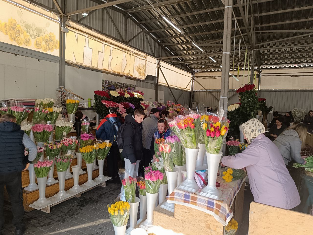 Новини Вінниці - фото з Тюльпани на 8 березня: скільки цьогоріч коштують квіти у Вінниці?