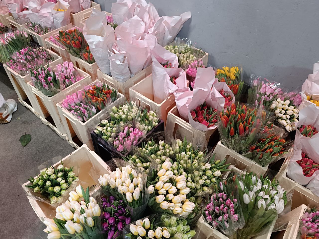 Новини Вінниці - фото з Тюльпани на 8 березня: скільки цьогоріч коштують квіти у Вінниці?