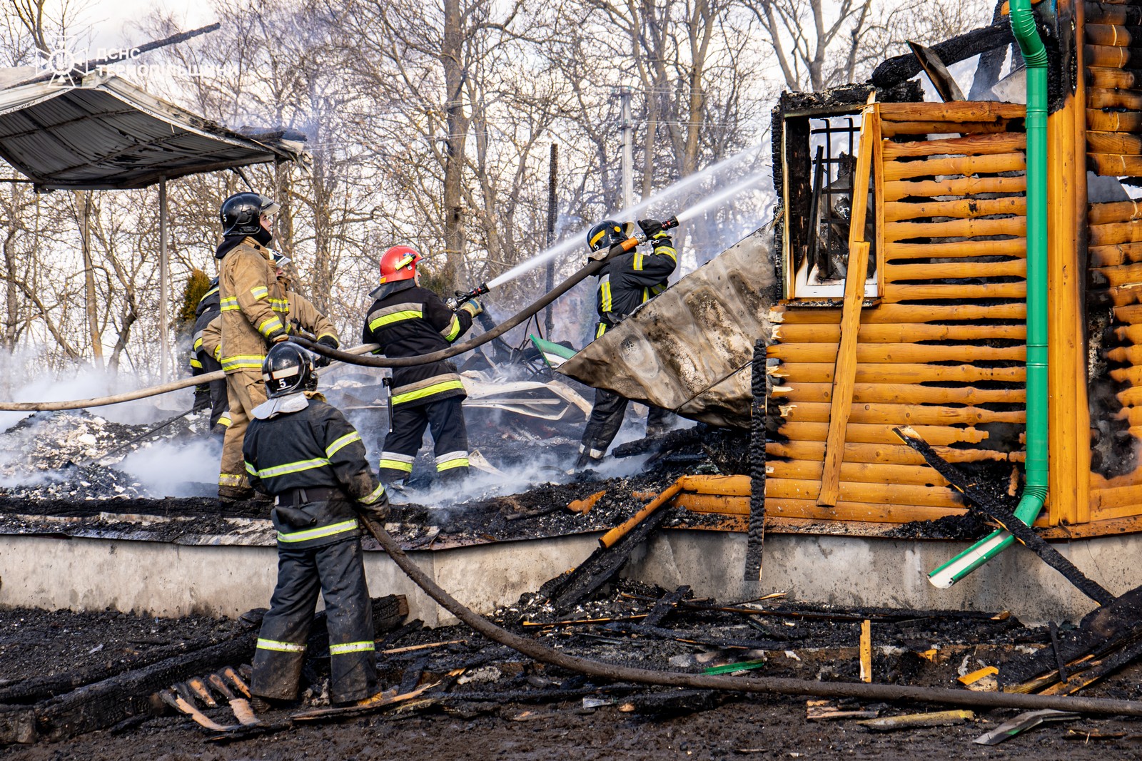На зображенні може бути: 5 людей та текст