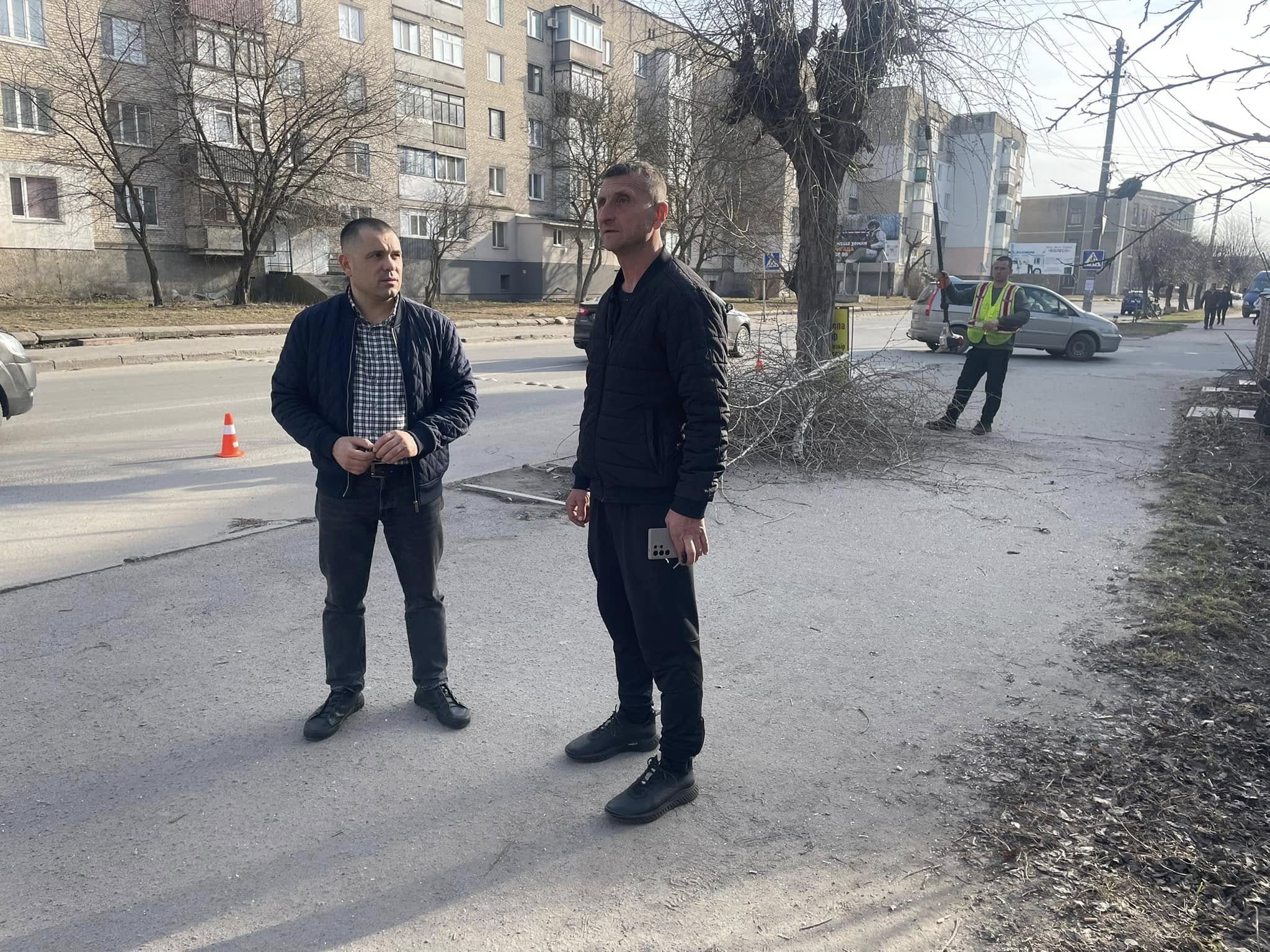 Новини Козятина - фото з Відео дня: у Козятині почали кронувати дерева