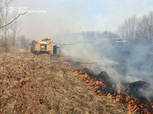 Новини Житомира - фото з Через підпал сухостою у Житомирському районі постраждав 75-річний чоловік