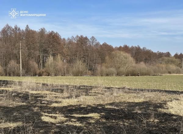 Новини Житомира - фото з Через підпал сухостою у Житомирському районі постраждав 75-річний чоловік