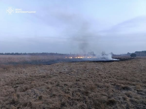 Новини Житомира - фото з Через підпал сухостою у Житомирському районі постраждав 75-річний чоловік