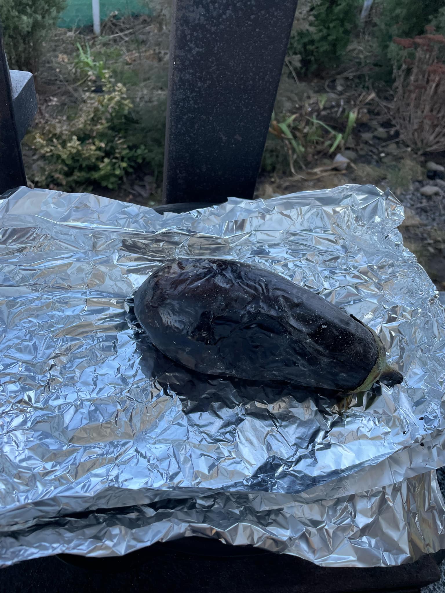 Новини Тернополя - фото з Гриль-салат та баклажан на вугіллі – страва від коваля