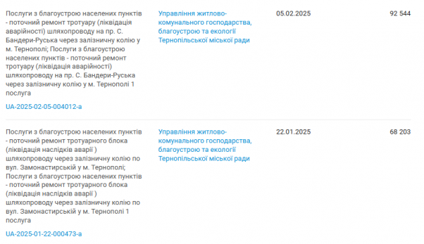 Новини Тернополя - фото з 5,7 млн гривень на утримання та ремонт мостів можуть витратити у Тернополі