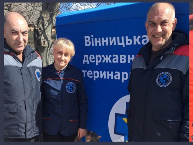 Новини Вінниці - фото з На Вінниччині 46 тварин заразилися сказом. Кампанія з вакцинації триває