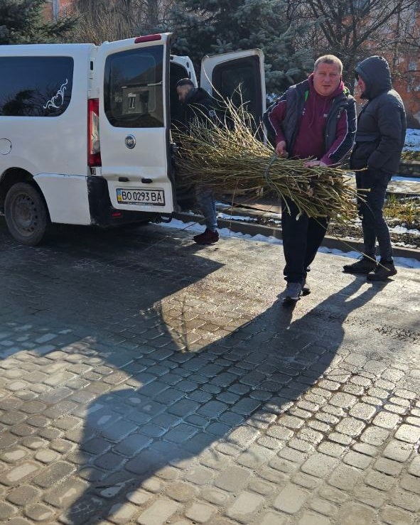 Новини Тернополя - фото з Оживили лозу: студенти створили унікальні скульптури-лелеки, що підкорюють серця На зображенні може бути: 3 людини та ялинка