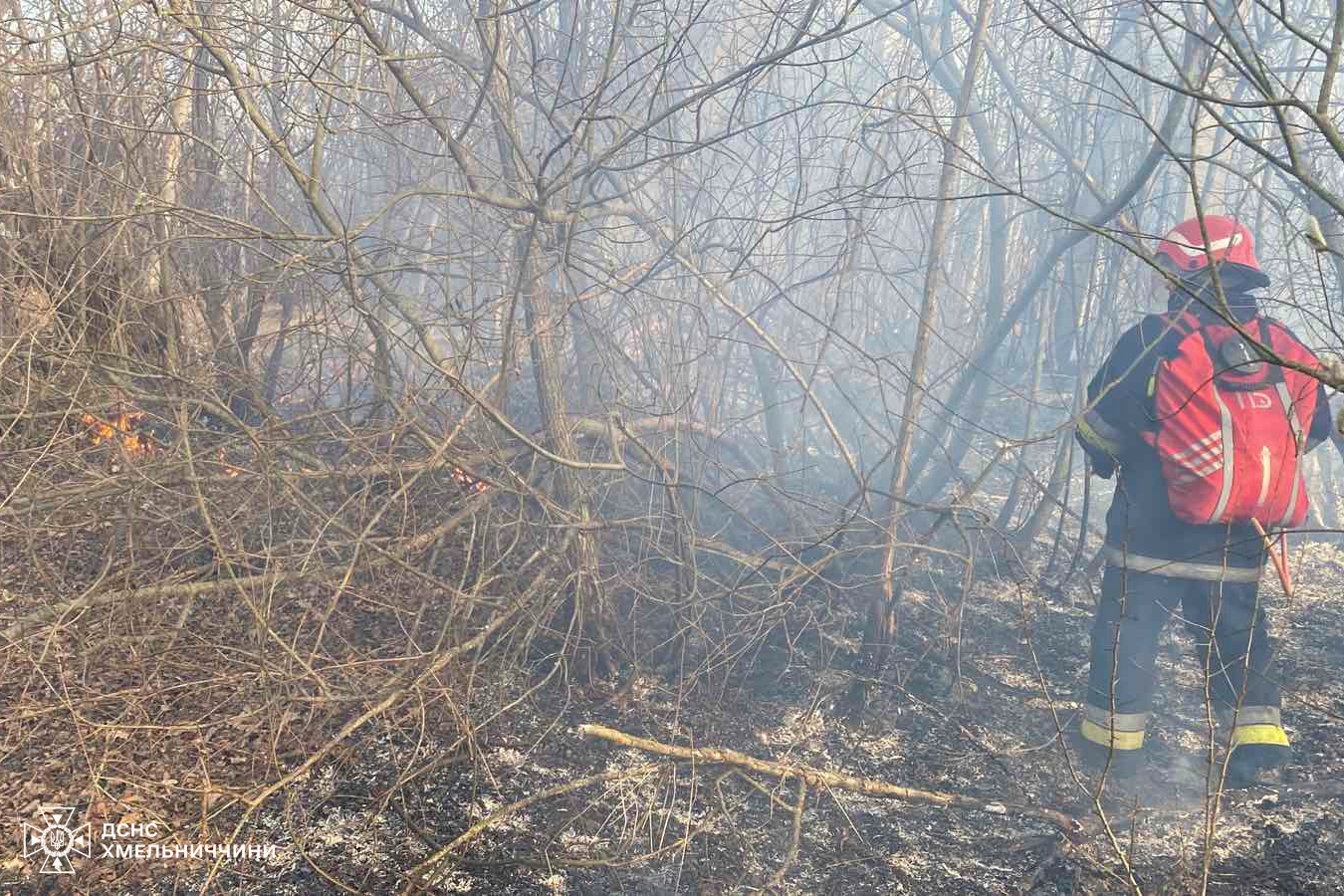 Новини Хмельницького - фото з 53 пожежі за добу: на Хмельниччині рятували будинки та природні екосистеми Возможно, это изображение 1 человек, огонь и дерево