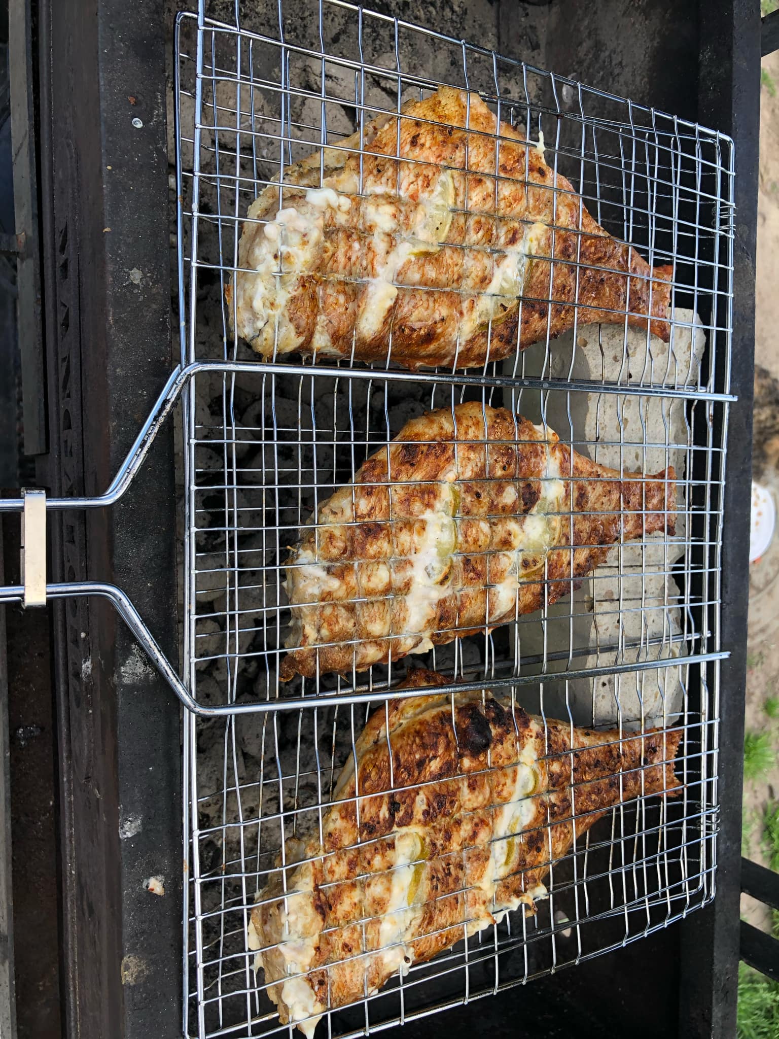 Новини Тернополя - фото з Скумбрія, салака, окунь – готуємо морську рибу