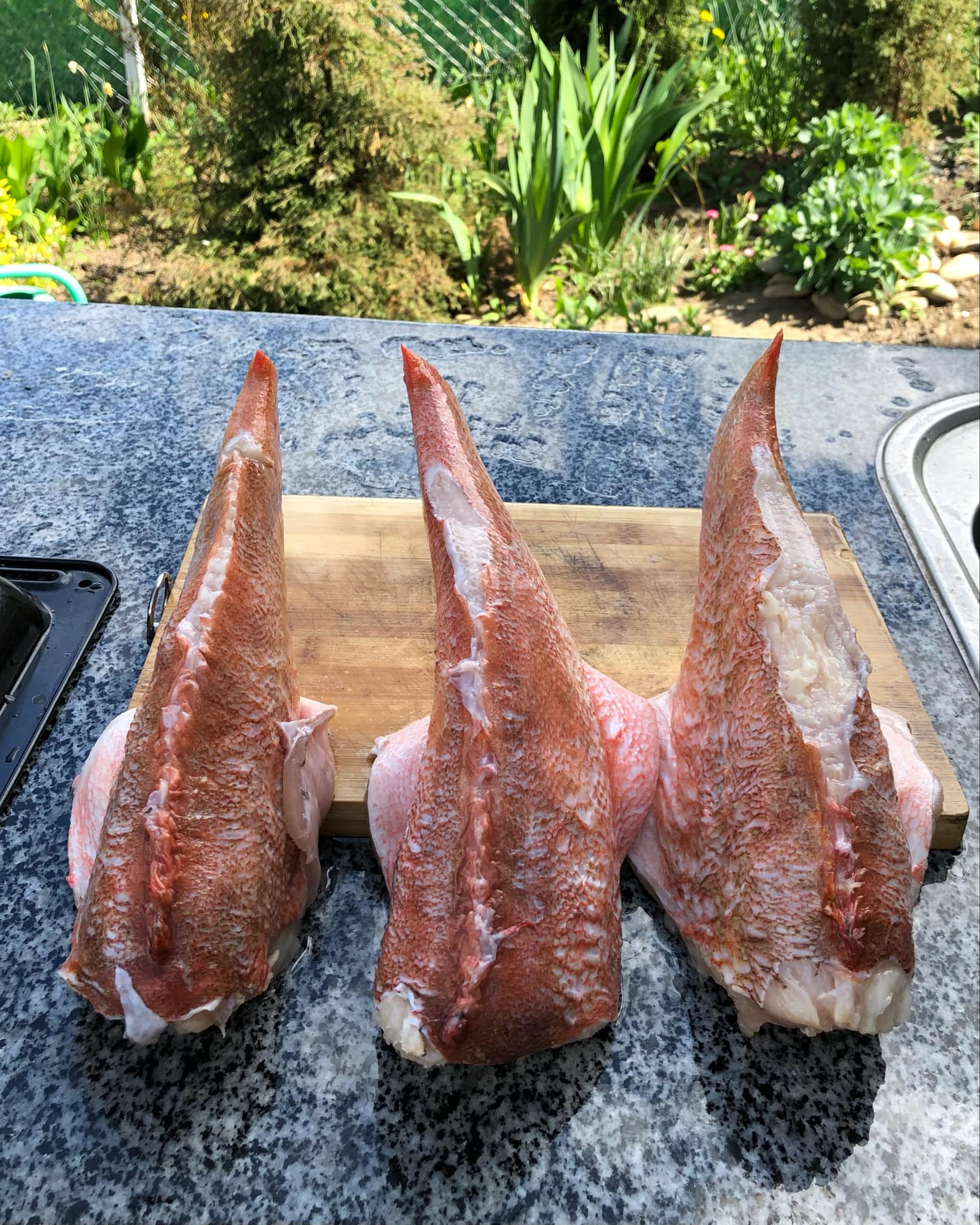 Новини Тернополя - фото з Скумбрія, салака, окунь – готуємо морську рибу