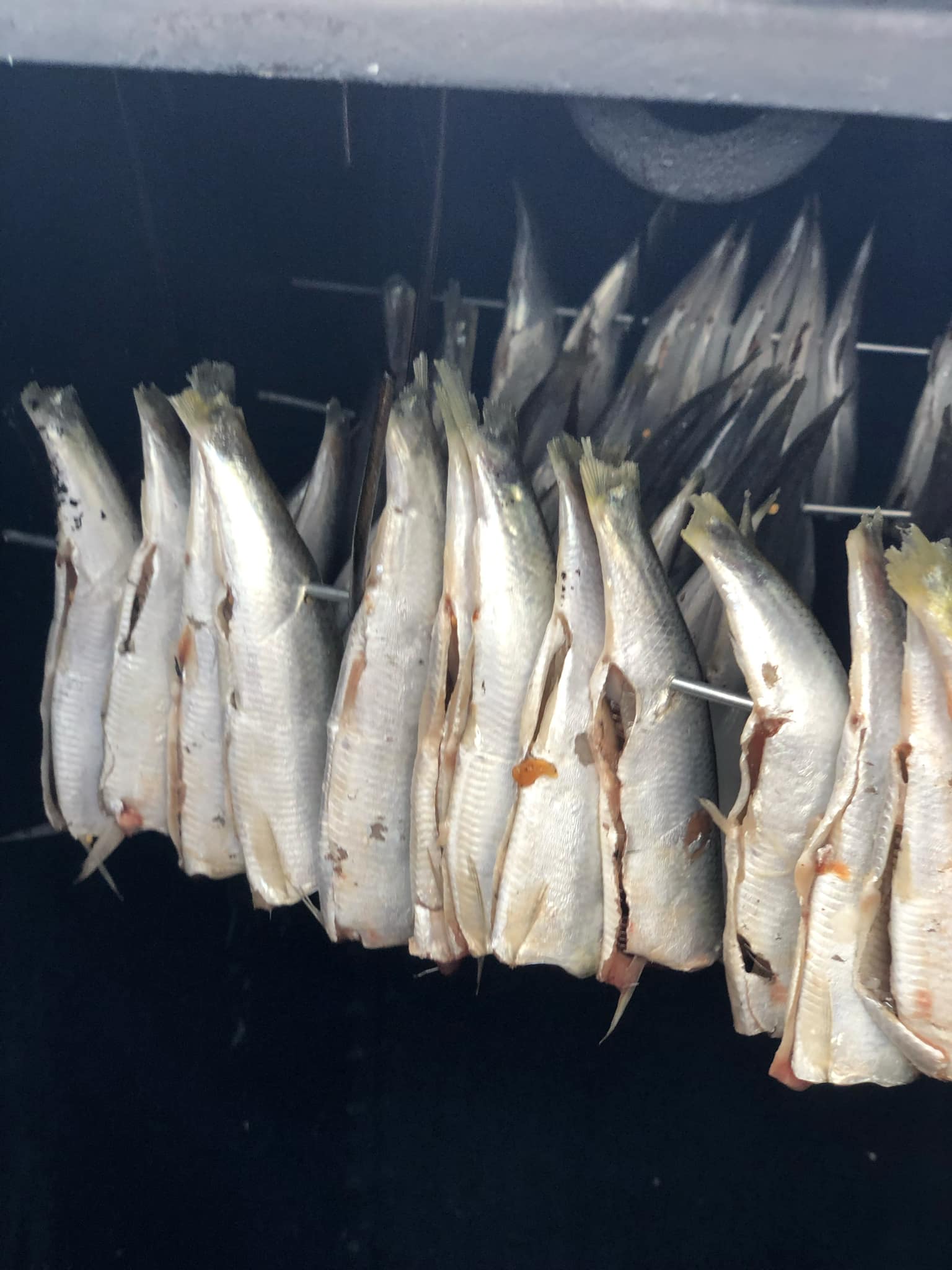 Новини Тернополя - фото з Скумбрія, салака, окунь – готуємо морську рибу