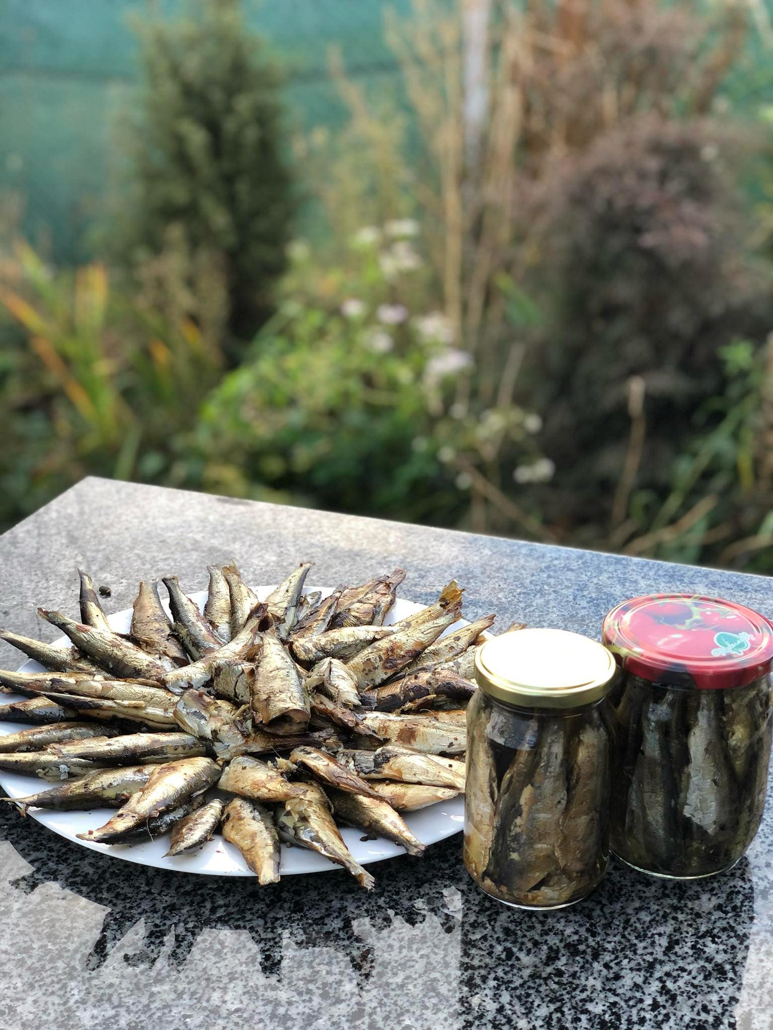 Новини Тернополя - фото з Скумбрія, салака, окунь – готуємо морську рибу