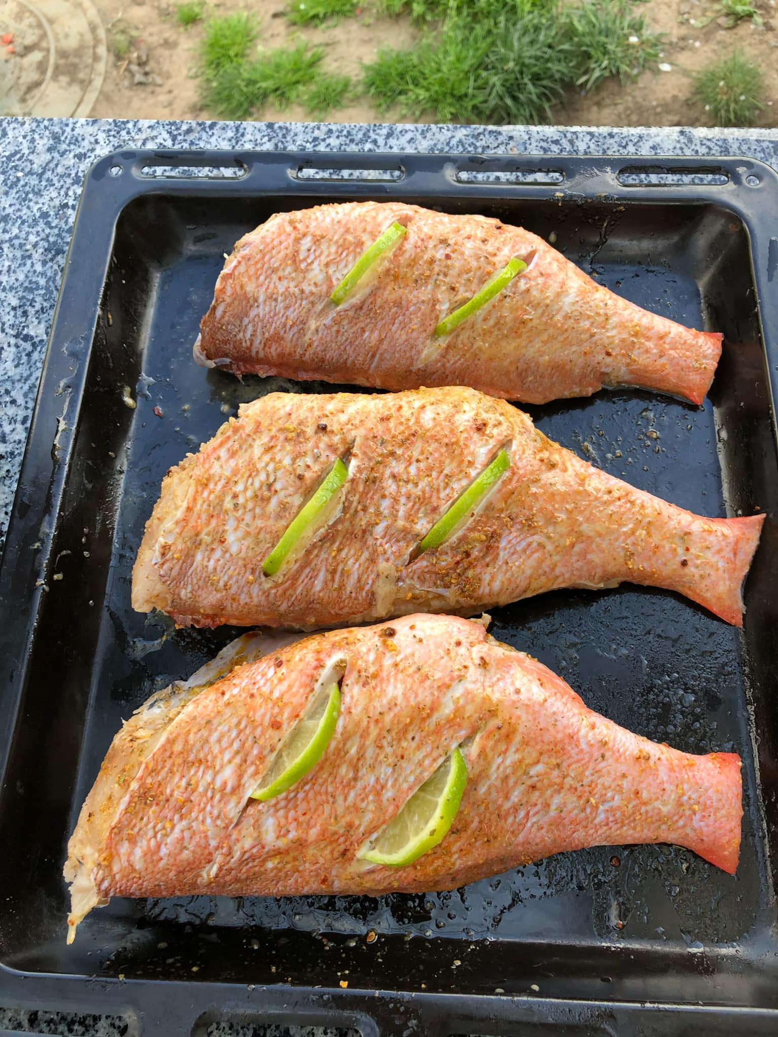 Новини Тернополя - фото з Скумбрія, салака, окунь – готуємо морську рибу