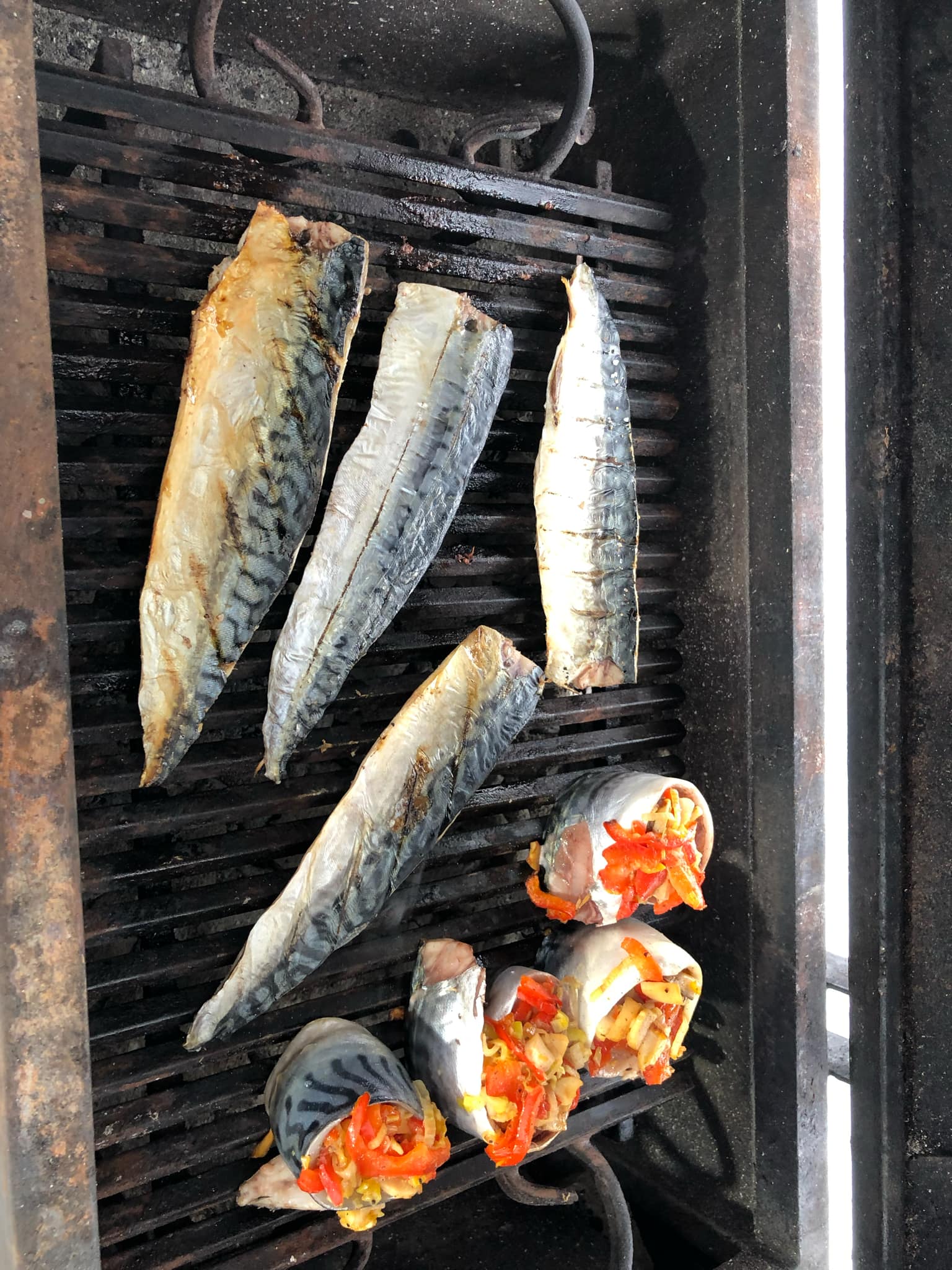 Новини Тернополя - фото з Скумбрія, салака, окунь – готуємо морську рибу