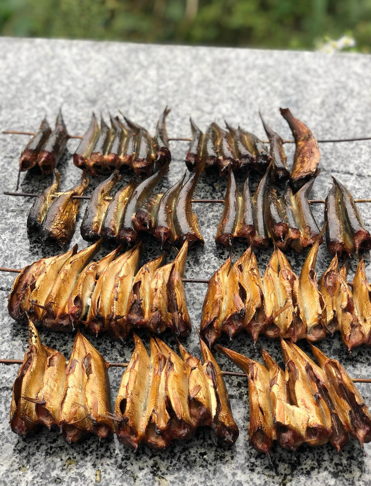 Новини Тернополя - фото з Скумбрія, салака, окунь – готуємо морську рибу