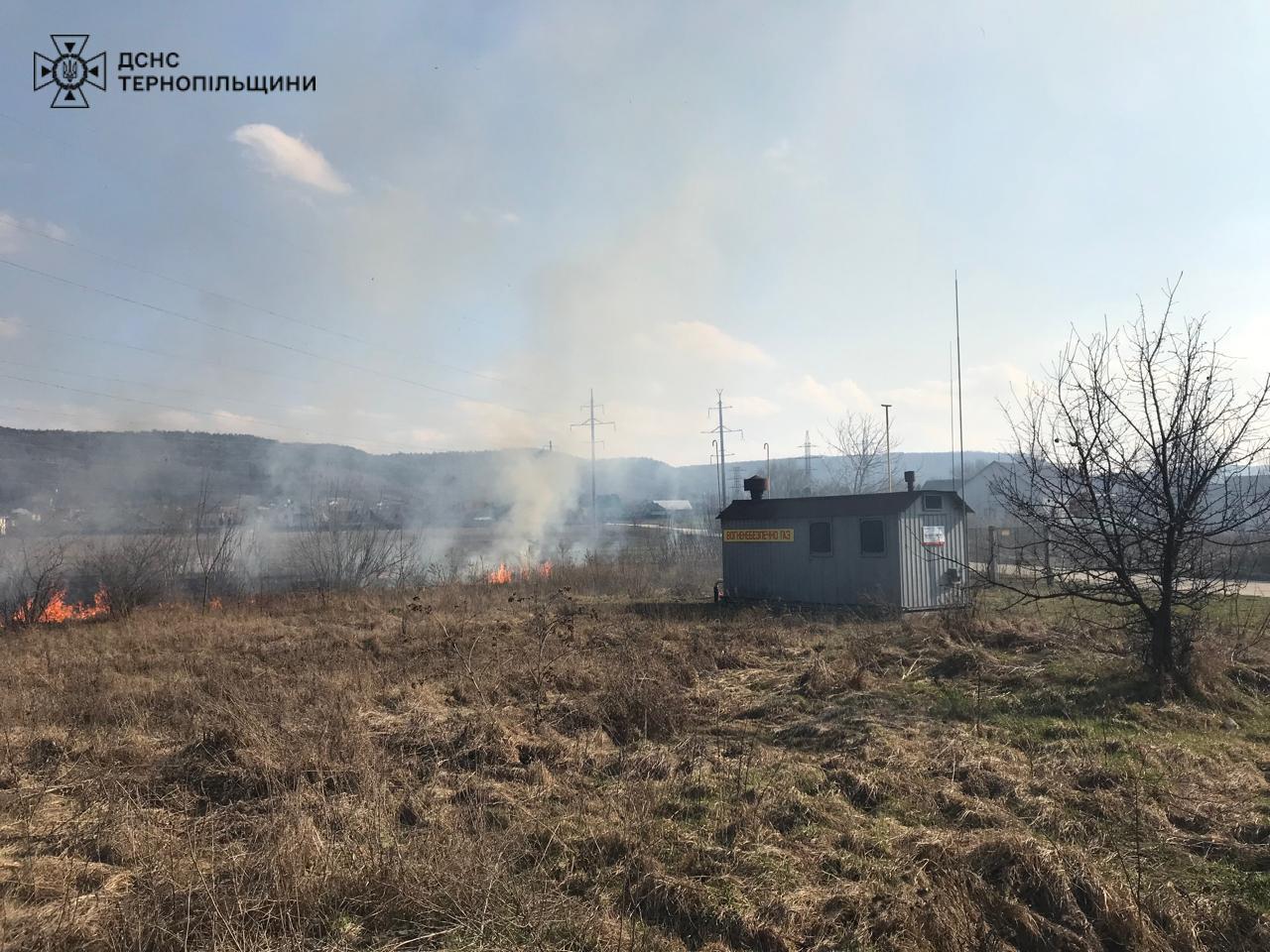 На зображенні може бути: вогонь, трава та текст