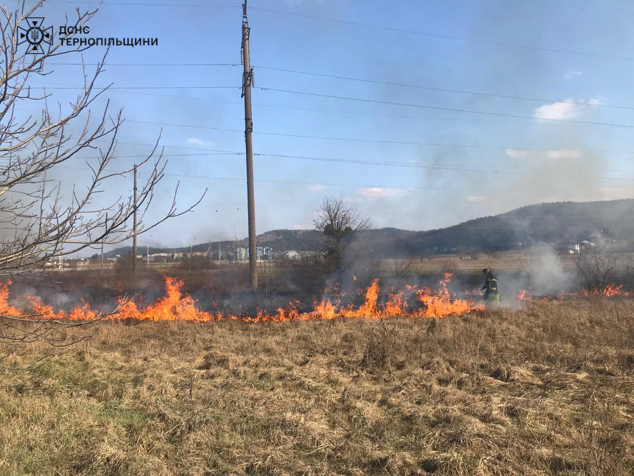 На зображенні може бути: 1 особа, вогонь та трава
