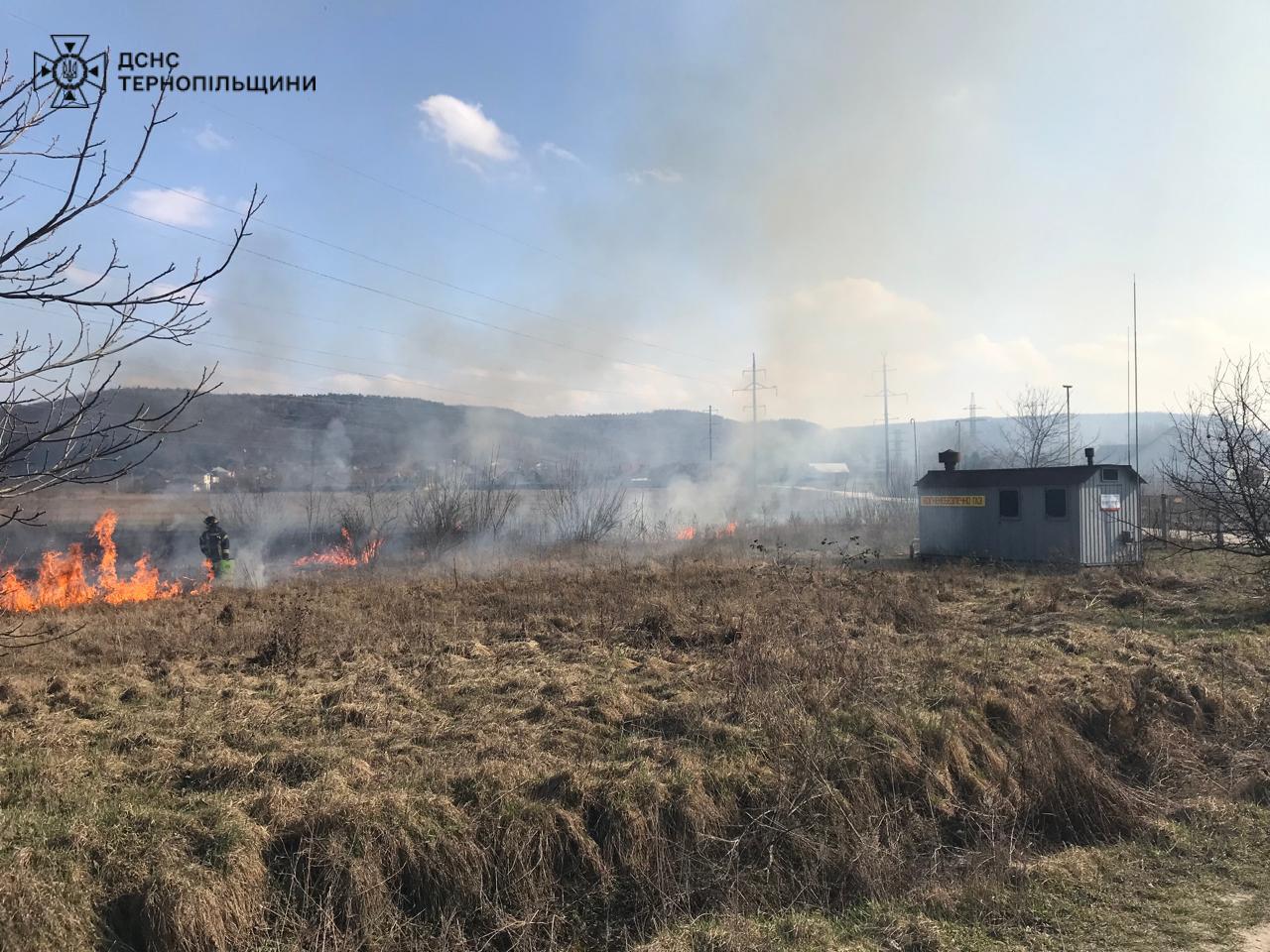 На зображенні може бути: вогонь та трава