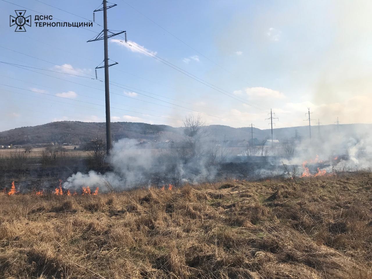 На зображенні може бути: вогонь та трава