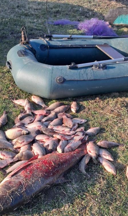 Новини Вінниці - фото з Браконьєри на гумовому човні виловили понад 50 кілограмів риби