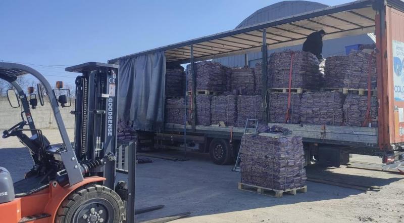 Новини Вінниці - фото з Митники Вінниччини зупинили незаконний експорт лісоматеріалів