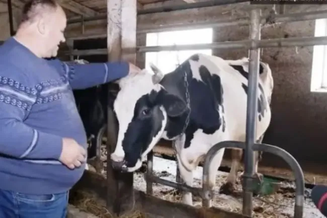 Новини Вінниці - фото з ТОП важливих новин на «20 хвилин» від 24 по 31 березня, які ви могли пропустити