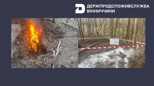 На Вінниччині зафіксовано загибель тварин у мисливському господарстві — підозра на африканську чуму свиней На Вінниччині зафіксовано загибель тварин у мисливському господарстві — підозра на африканську чуму свиней