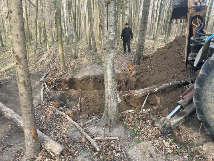 Новини Вінниці - фото з Під Іллінцями від чуми гинуть кабани: чиновники приховують катастрофу