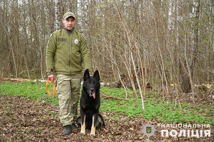 Новини Тернополя - фото з 24 собаки допомагають поліцейським Тернопільщини у боротьбі з наркотиками, зброєю та тероризмом