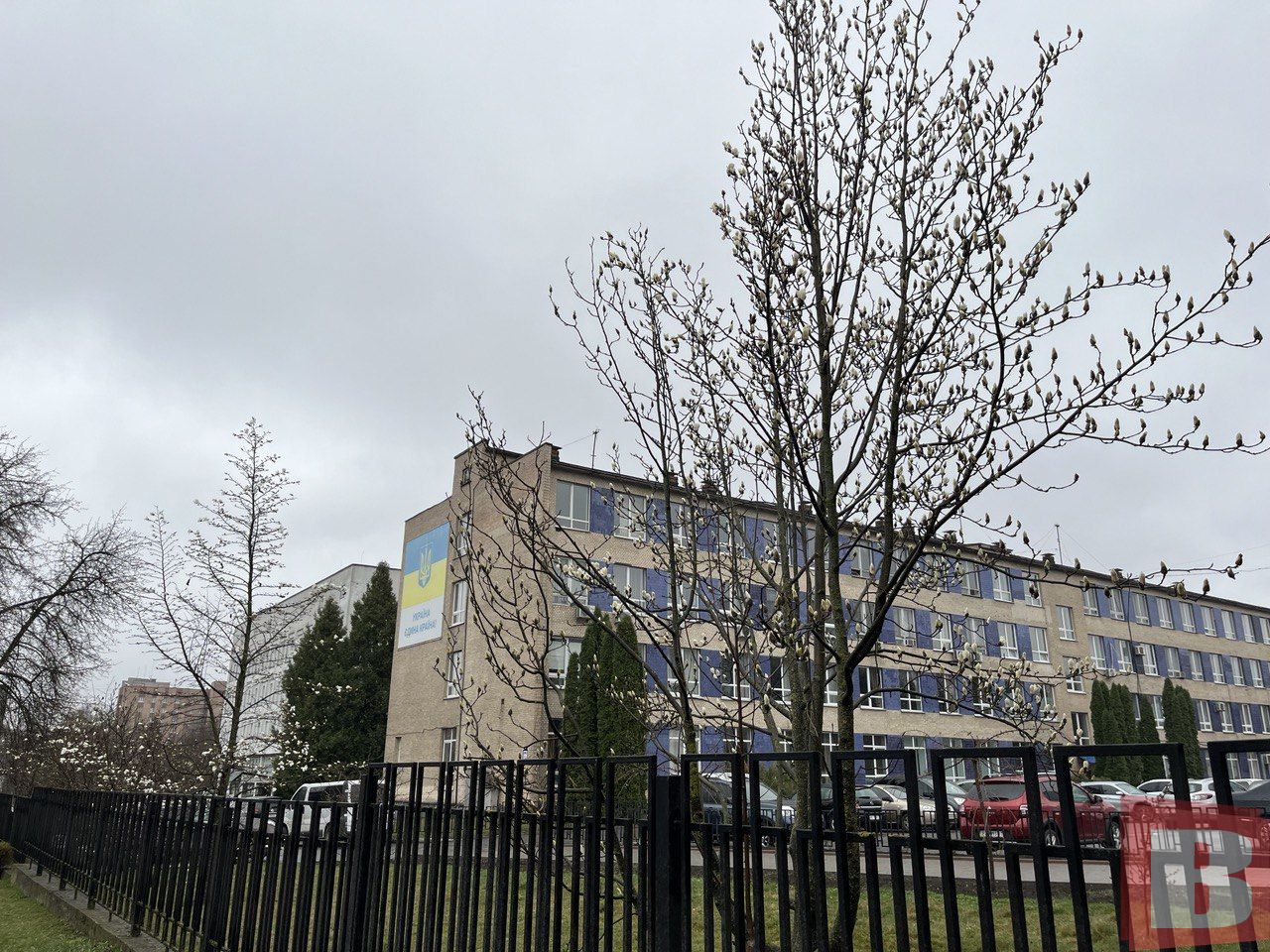 Новини Хмельницького - фото з У ботанічному саду ХНУ зацвіли магнолії: фоторепортаж