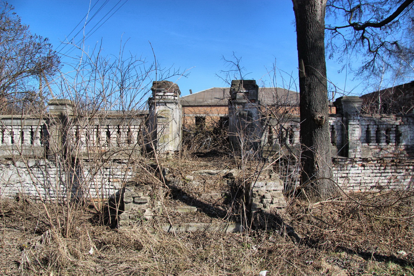 Новини Вінниці - фото з Палац Ребіндерів у Самгородку. Історія садиби на Вінниччині, яка стала лікарнею