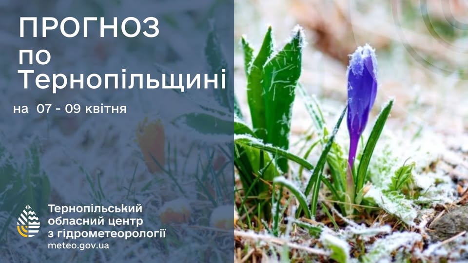 На зображенні може бути: квітка та текст «ПРОГНОЗ по Терноп.льщин. на 07 07-09 09 кв.ня Терноп.льський обласний центр 3 г.дрометеороло meteo.gov.ua»