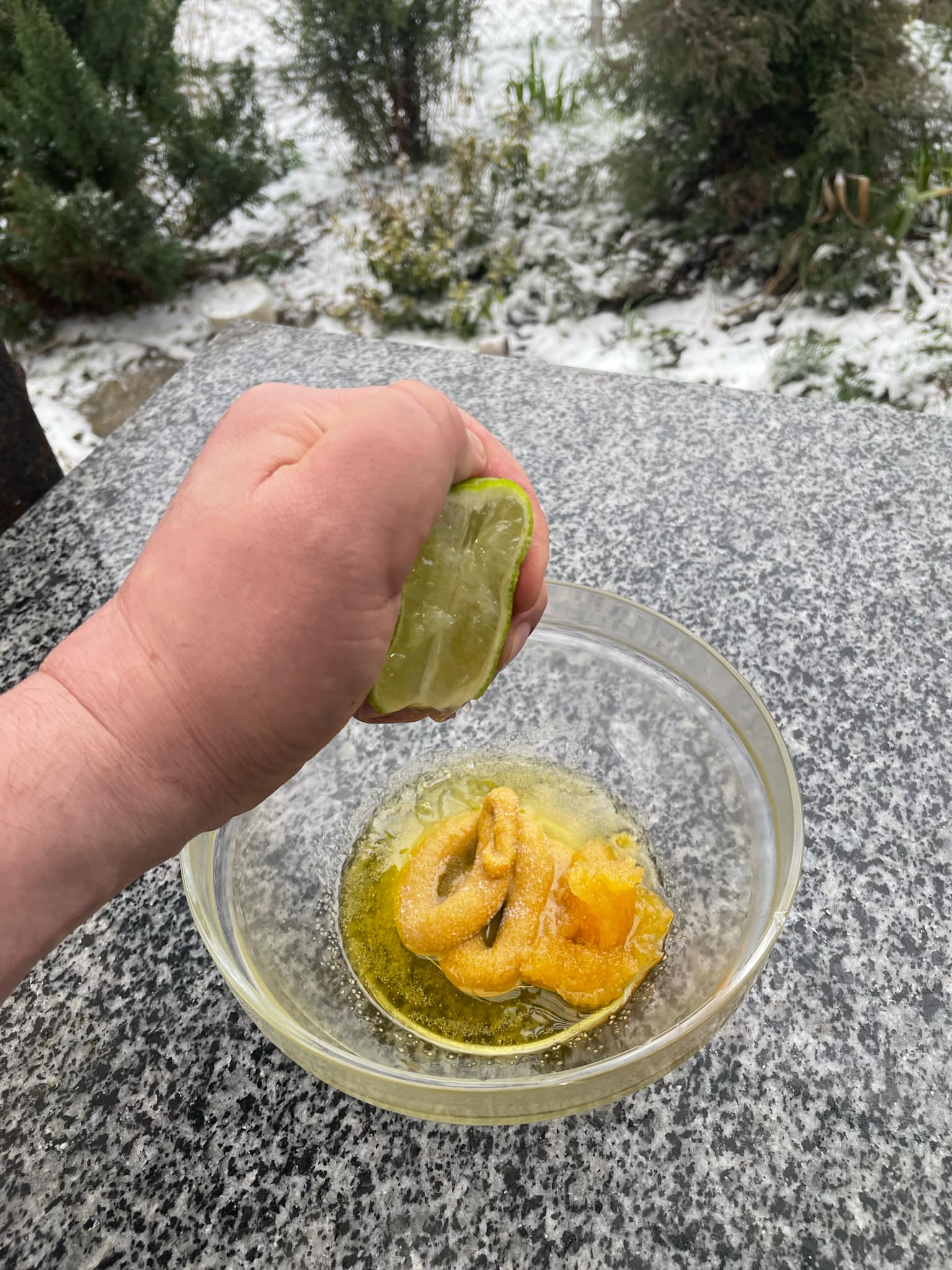 Новини Тернополя - фото з Готуємо тефтелі без м'яса та салат з гранатом