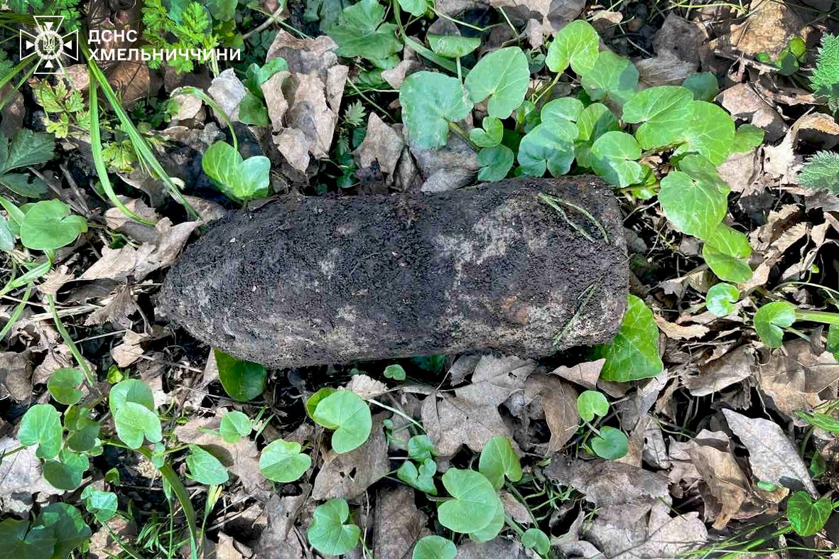 На зображенні може бути: слимак, гриб-дощовик, гриб, зморшок та текст «ДСНС ХМЕЛЬНИ ХМЕЛЬНИЧЧИНИ ЧЧИНИ»