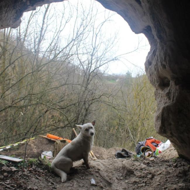 Новини Вінниці - фото з Неподалік Ямполя виявили петрогліфи, що датуються часами монгольської навали