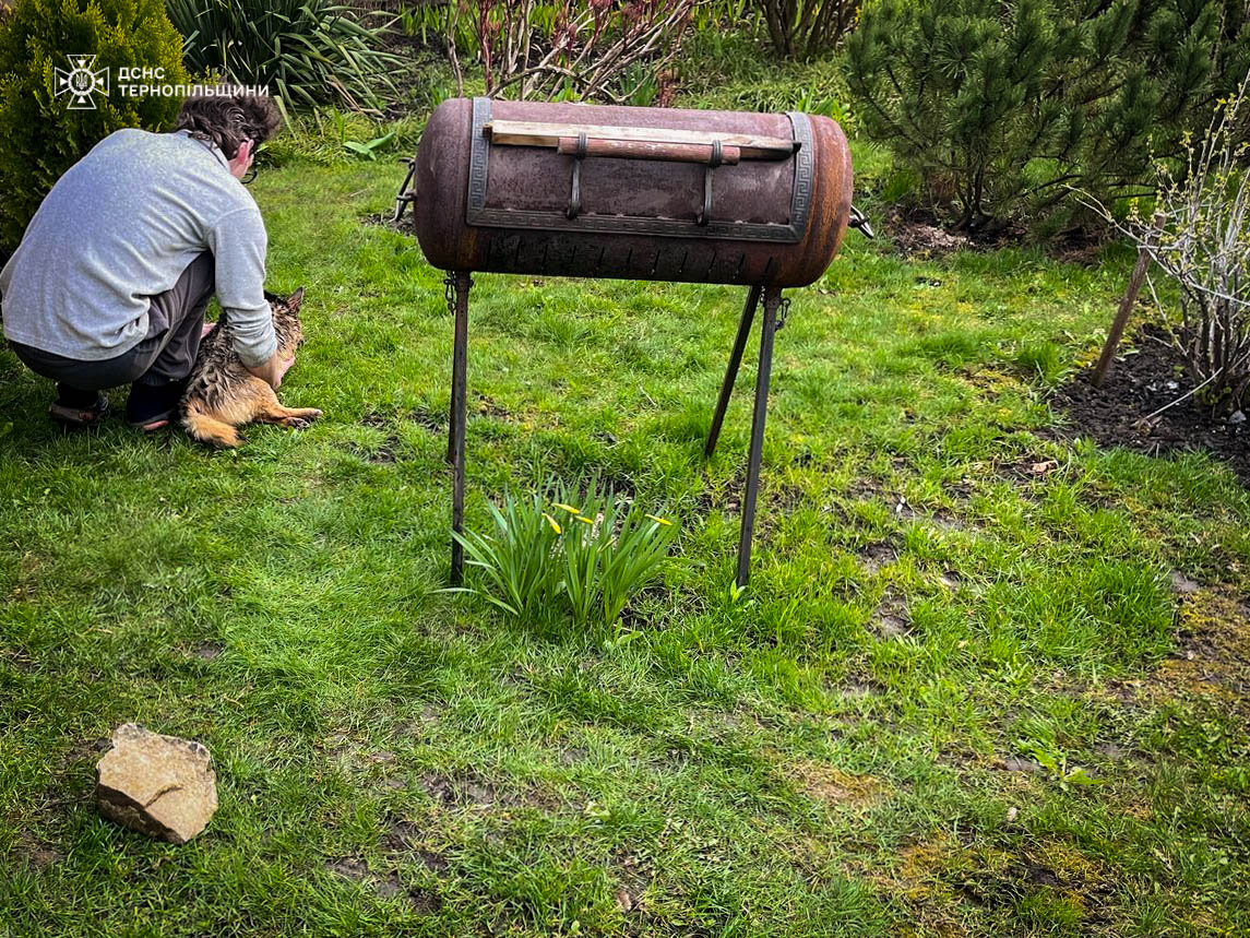 Новини Тернополя - фото з У Бучачі врятували собаку, що впав у колодязь