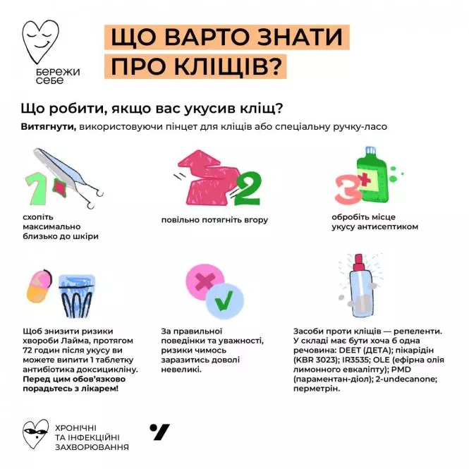 Новини Вінниці - фото з Що варто знати про кліщів? У МОЗ розповіли, як вберегтися