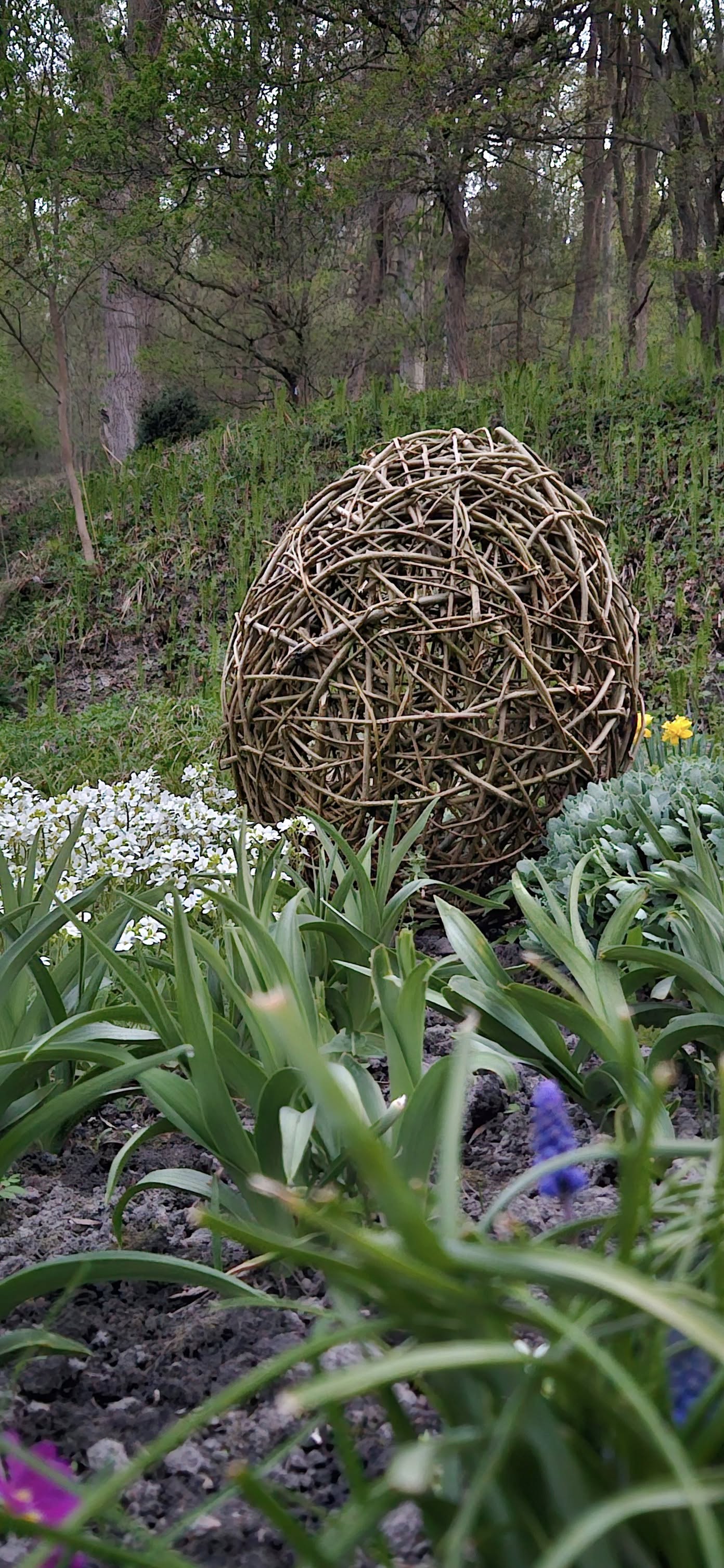Новини Тернополя - фото з Скульптури з лози покажуть в ботанічному саду Кременця