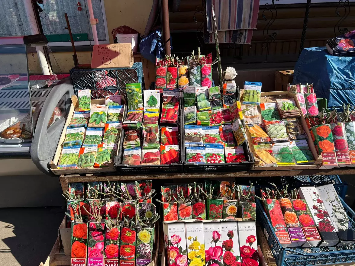 Новини Вінниці - фото з Що посадити в квітні і травні? Дізналися ціни на насіння і саджанці у магазинах Вінниці