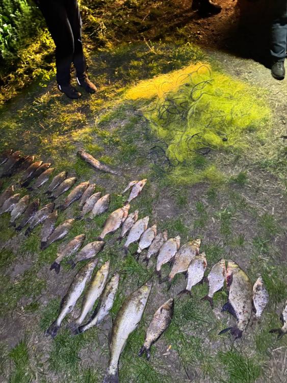 Новини Вінниці - фото з На Гайсинщині викрили браконьєра з уловом у 40 кілограмів риби