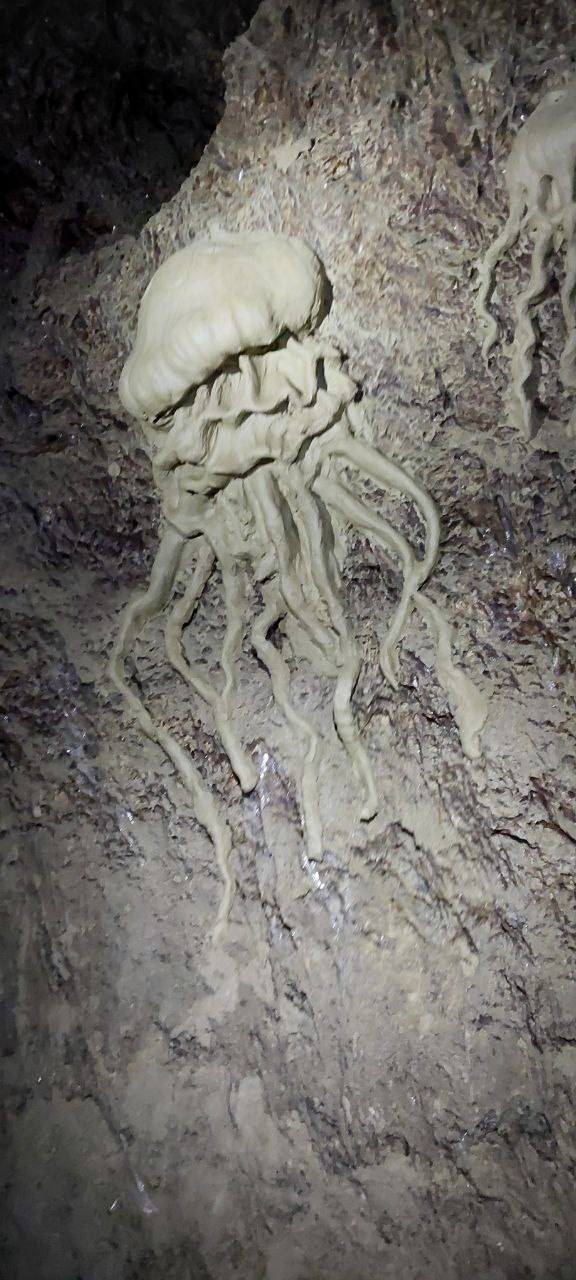 Новини Тернополя - фото з Унікальне диво України: що приховує печера Оптимістична в Тернопільській області Немає опису світлини.