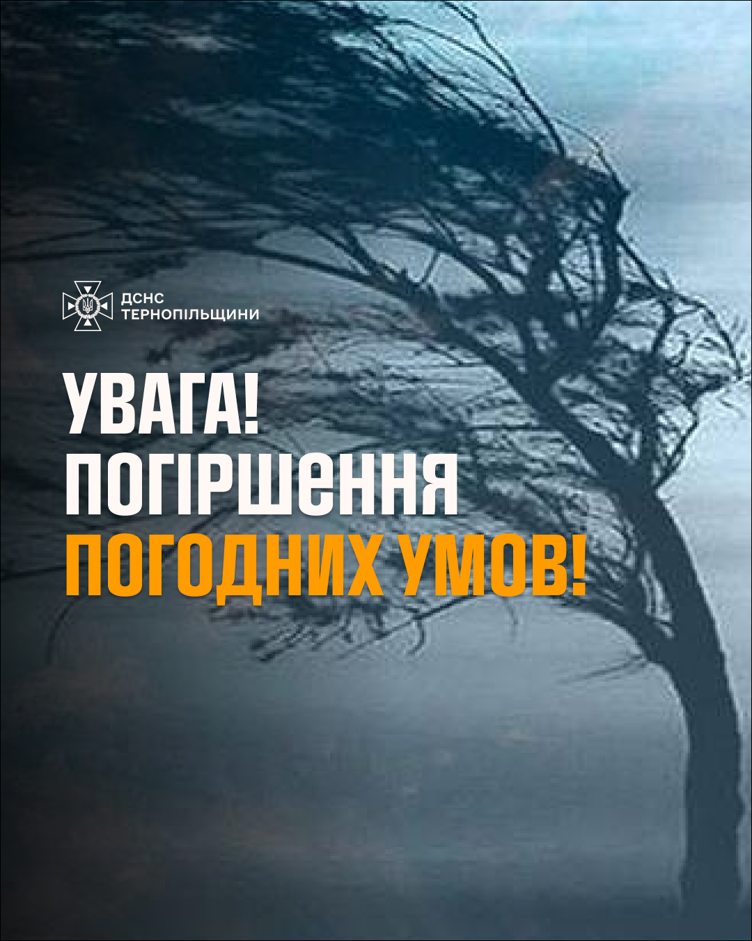 На зображенні може бути: текст