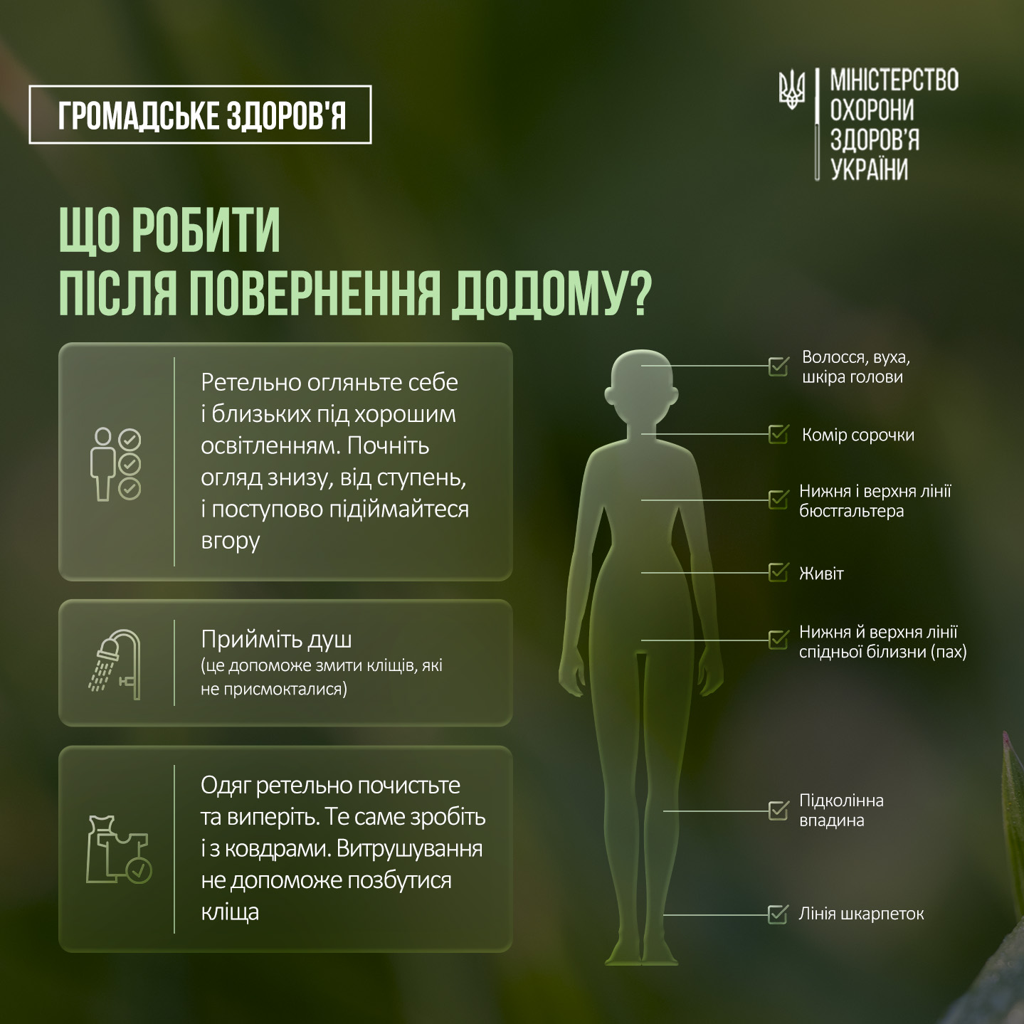 Новини Хмельницького - фото з На Хмельниччині зафіксували десятки інфікованих кліщів. Лікарі попереджають про небезпеку