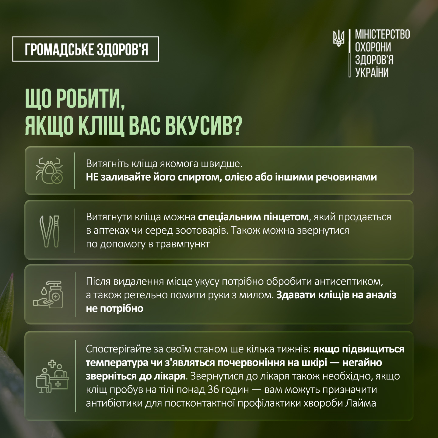 Новини Хмельницького - фото з На Хмельниччині зафіксували десятки інфікованих кліщів. Лікарі попереджають про небезпеку