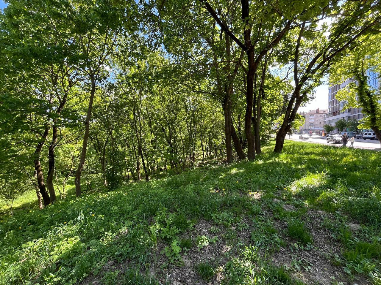 Новини Тернополя - фото з Майже 58 тисяч на дезінфекцію від кліщів: коли і які парки Тернополя планують обробити