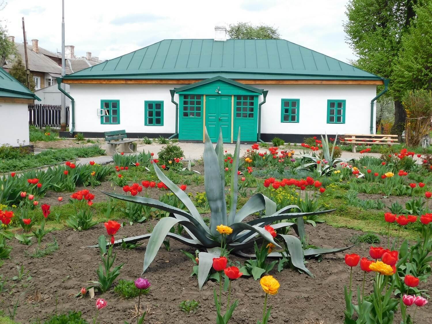 Новини Вінниці - фото з Гвоздика Коцюбинського. Як письменник привіз насіння квітки в Україну