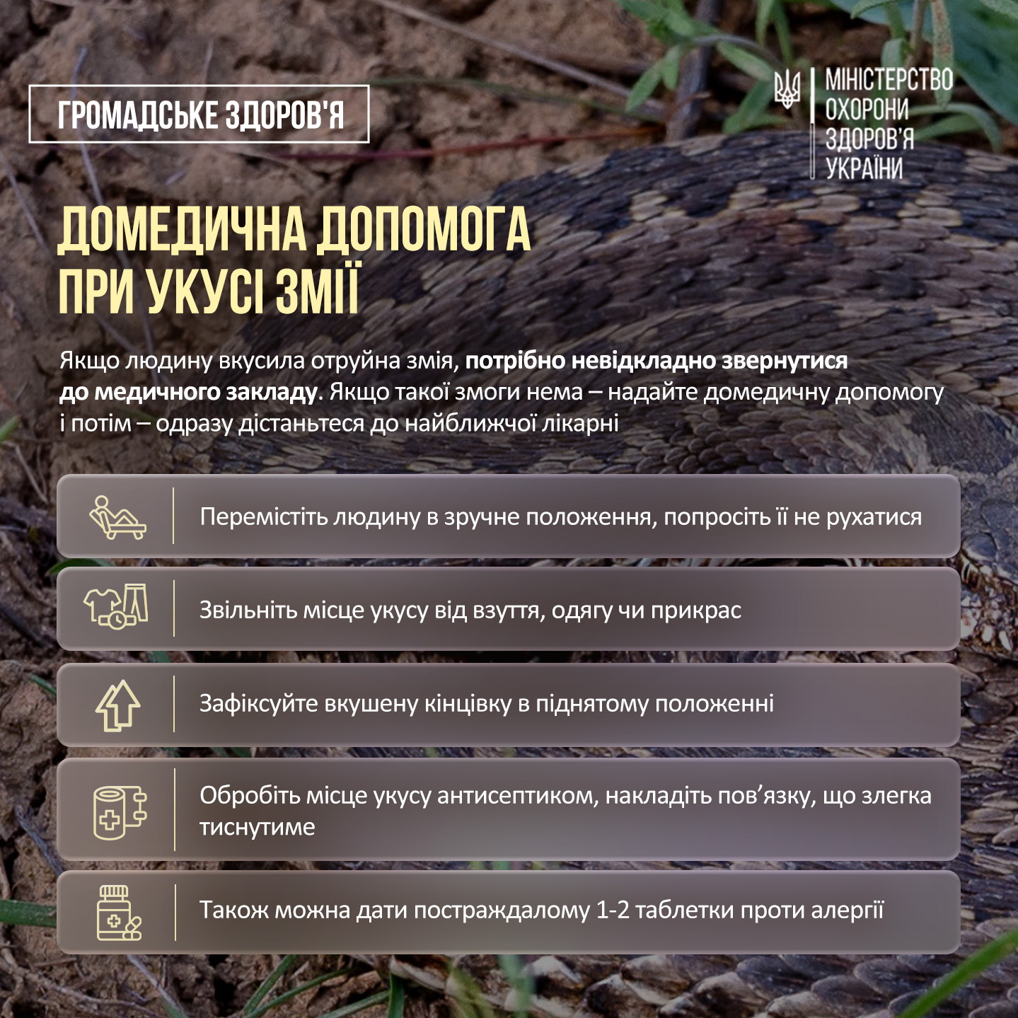 Новини Тернополя - фото з Як знизити ризик укусу змії та як надати першу допомогу