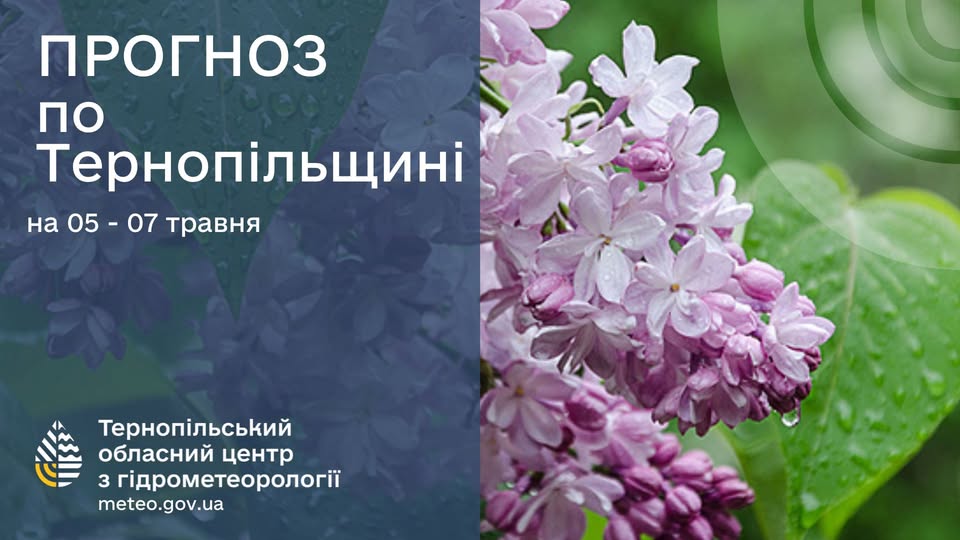 Новини Тернополя - фото з Затоплена вулиця в Саранчуках, град на Підгаєччині: наслідки негоди на Тернопільщині На зображенні може бути: квітка та текст «ПРОГНОЗ по Терноп.льщин на на05- на05-07травня 05-07 05 07 травня Терноп.льський обласний центр 3 г.дрометеоролог meteo.gov.ua»