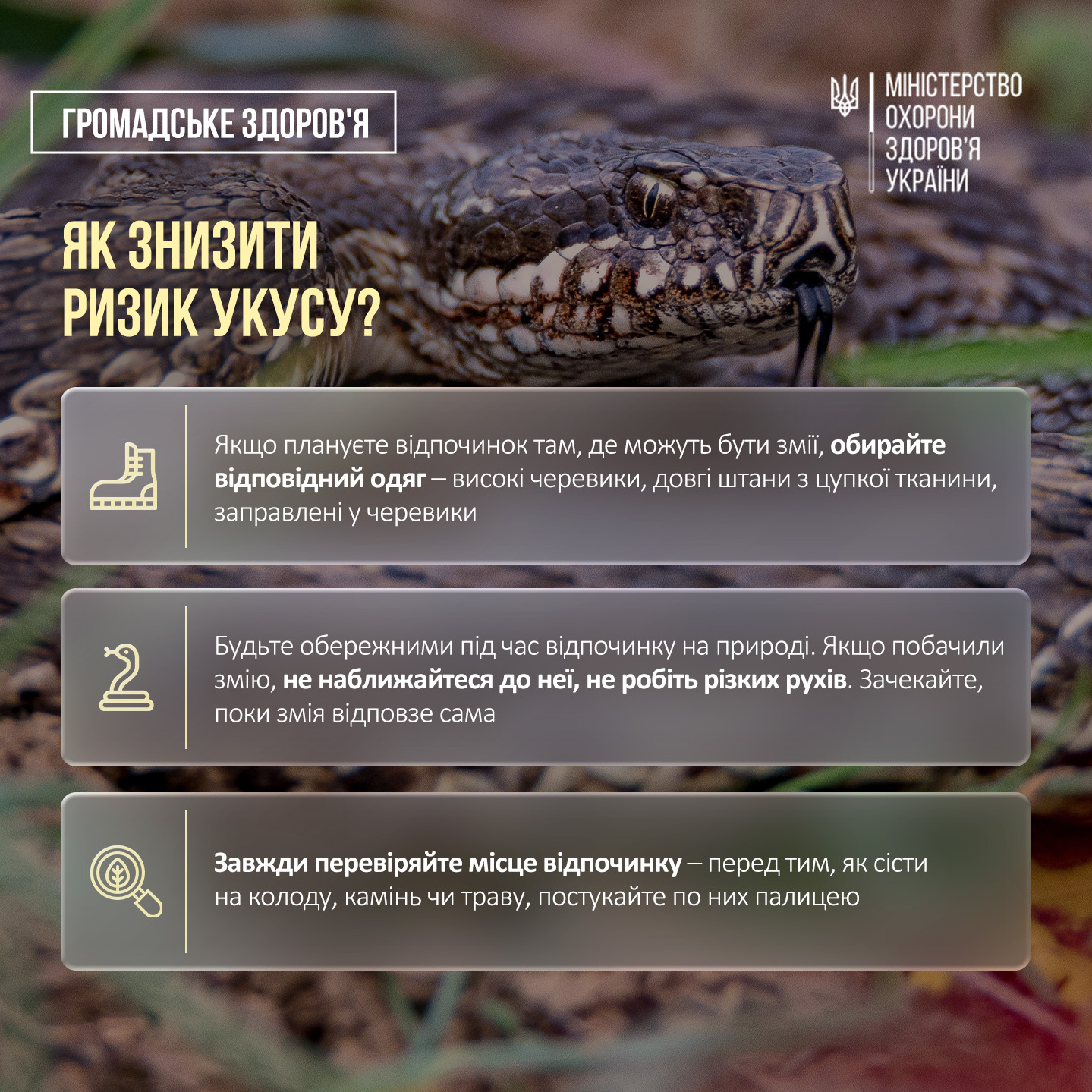 Новини Тернополя - фото з Як знизити ризик укусу змії та як надати першу допомогу