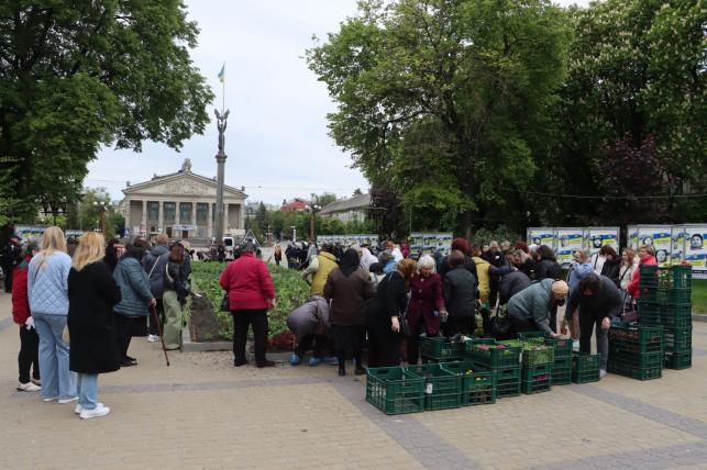Новини Тернополя - фото з Матері полеглих Героїв висадили квіти у центрі Тернополя